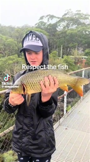 Nicos Yarncaster Fisch erklärt: Was ist falsch mit euch?