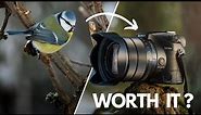 Sony 24-600mm SUPER ZOOM no one talks about
