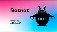 What is a Botnet?