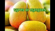 How to Identify Popular types of Mangoes grown in Jamaica