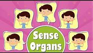 Human Sense Organs | #aumsum #kids #science #education #children
