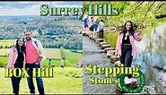 Surrey Hills - Box Hill & Stepping Stones Walk | Best Day Trip from London | Trekking & Hiking