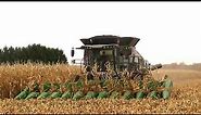 Corn Harvest 2020 | Gleaner S97 Combine Harvesting Corn | Ontario, Canada