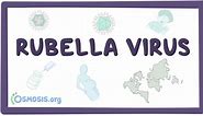 Rubella virus: Video, Anatomy, Definition & Function | Osmosis