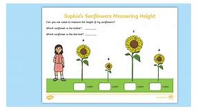 Sophie’s Sunflowers Measuring Height Worksheet