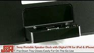 Sony Portable Speaker Dock for iPod & iPhone
