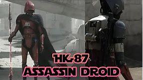 The HK-87 Assassin Droid