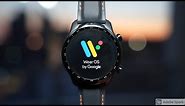 10 Reasons Why Wear OS is BETTER Than Fitbit & Garmin (as an Android user)