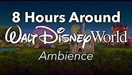 8 Hours Around Walt Disney World Park Ambience | Background Park Area Ambience