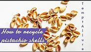 How to recycle pistachio shells