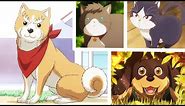 Funny Anime animal moments | Hilarious cats and dog moments in anime.