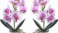 XONOR Artificial Orchid Flowers, 2 Pieces Potted Fake Orchids with Plastic Vase for Table Centerpiece Home Decor Office Wedding Party Decoration