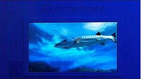 Philips 3D TV without glasses