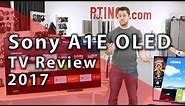 Sony A1E OLED 2017 TV Review - Rtings.com