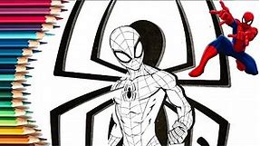 Spiderman Marvel coloring pages: for kids of all ages / Spiderman Coloring