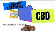 2-Minute Neuroscience: CBD