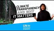Climate transparency and why it matters