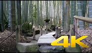Kamakura Hokokuji Temple - Kanagawa - 報国寺 - 4K Ultra HD