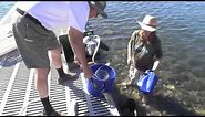 Demonstration of Vortex Water Distiller kit installed in collapsible bucket