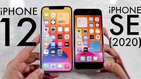 iPhone 12 Vs iPhone SE (2020)! (Comparison) (Review)
