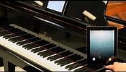 Piano Disc iPad Wireless Player System