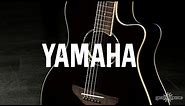 Yamaha APX600 Electro Acoustic Guitar | Overview