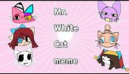 Mr.White cat meme (Cat Au)