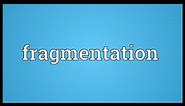 Fragmentation Meaning