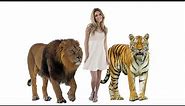Size Comparison - How Big Are Animals Compared to a Human?