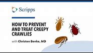 Creepy Crawlies: Lice, Fleas, Ticks and Bedbugs with Dr. Christen Benke | San Diego Health