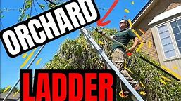 3 Reasons Why You Need an "Orchard Ladder" Immediately (Landscapers $ Arborists) Money Making Secret