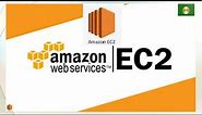 Amazon EC2 (Elastic Compute Cloud) Basics | AWS EC2 Instance Tutorial |AWS for Beginners