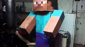 Minecraft Costume Test