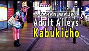 Japan Walk Kabukicho at late night, Adult Red Light District, back alley in Shinjuku, Tokyo｜歌舞伎町 4K