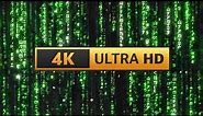 Matrix Screensaver Rain Code 12H 4K - Longest video on Youtube