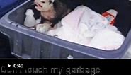 Dont touch my garbage - Random