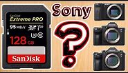 Best Memory Card for Sony Cameras – Choosing the Best SD Card for Video on Sony Alpha Cameras