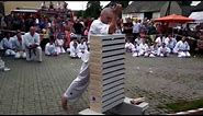 Karate Skill: 14 Bricks