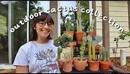 My Outdoor Cactus Collection | your sign to put your cactus outside this summer!!