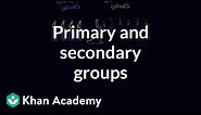 Primary and secondary groups | Individuals and Society | MCAT | Khan Academy