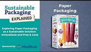 Exploring Paper Packaging as a Sustainable Solution: Innovations and Pros & Cons