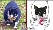 😂Cat Memes: New Skibidi Toilet Cat and Funny Dogs (new and remastered) 😅 Trending Funny Animals 😹