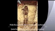 Civil War Burials of the 55th Massachusetts African American Soldiers Found Metal Detecting.wmv