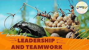 Teamwork and Leadership | Animated short clip | Creative 360 | #teamwork #leadership #motivation