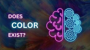 The Illusion of Color: Does Color Really Exist?