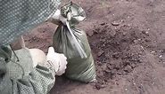 Militia Engineer Tasks- Filling And Using Sandbags In Field Fortifications