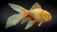 Goldfish - 3D model by Liam Broughm (@liam.broughm)