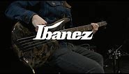 Ibanez SRMS805 Multi Scale 5 String Bass, Deep Twilight | Gear4music demo