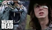 Shiva Saves Carl | The Walking Dead Classic Scene | Ep 716