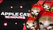 Apple Cat Running 10 Hours
